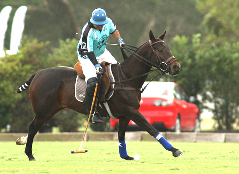 polomagazinepachecolegendscuppolotournamentusapolograndchampionspoloclub 3